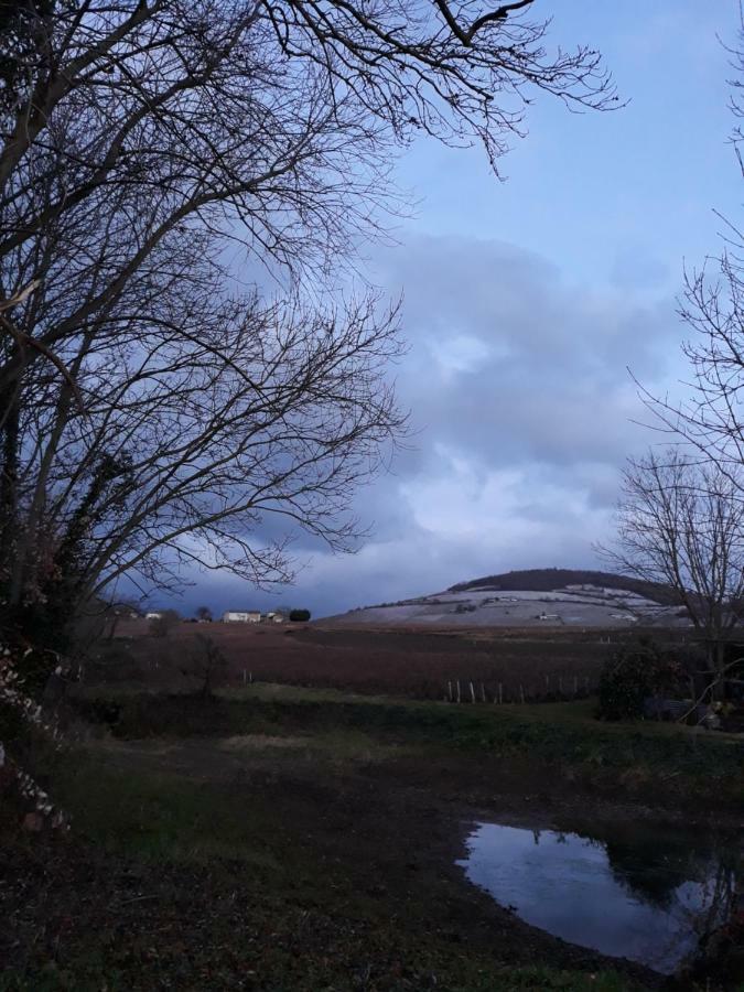 Charentay La Maison Des Vignes מראה חיצוני תמונה