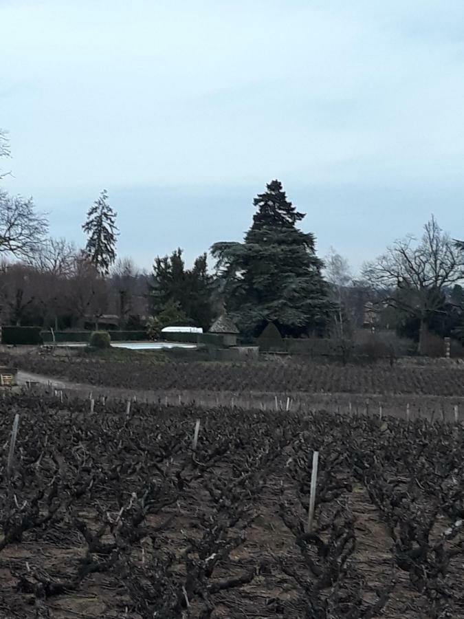 Charentay La Maison Des Vignes מראה חיצוני תמונה